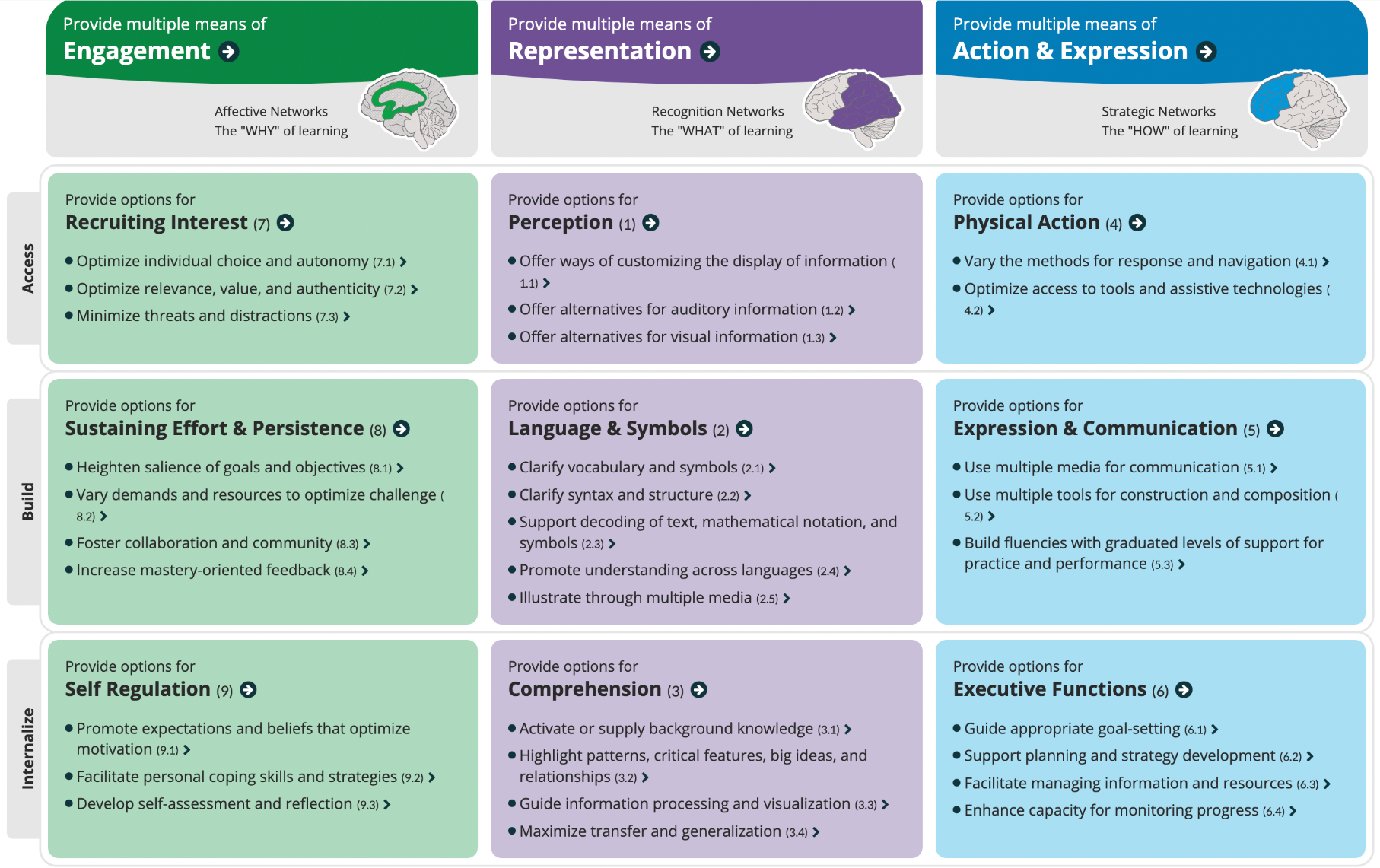 Screenshot: CAST Graphic Organizer. CAST(2018).