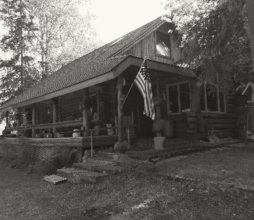 Homestead - an old wooden cabin